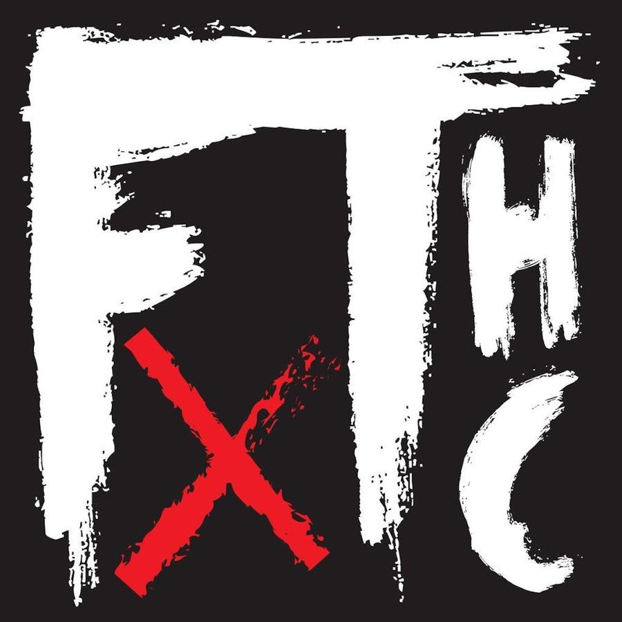 Frank Turner - FTHC (Vinyle Usagé)
